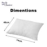 Cotton-Stripe-Pillow-Pair_3 | ACL IMPORTS