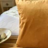 French Velvet Cushion_Saffron | ACL IMPORTS