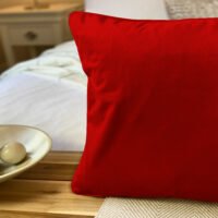 French Velvet Cushion_Red | ACL IMPORTS